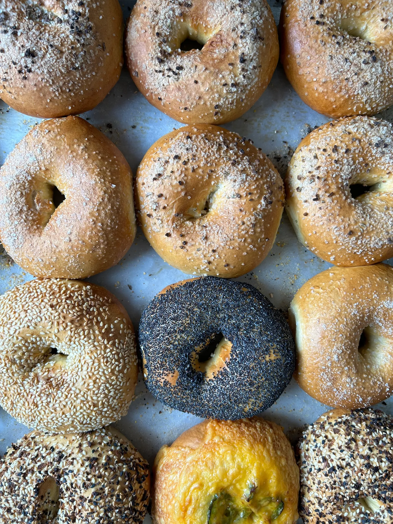 A tray of assorted bagels — everything, sesame, poppy, plain and more