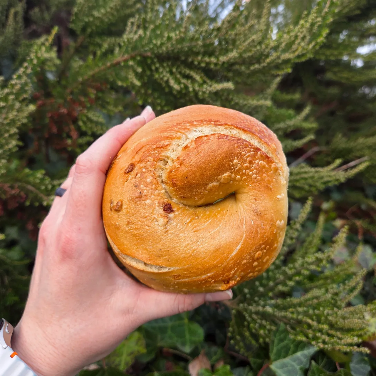 A cheese bagel held outdoors